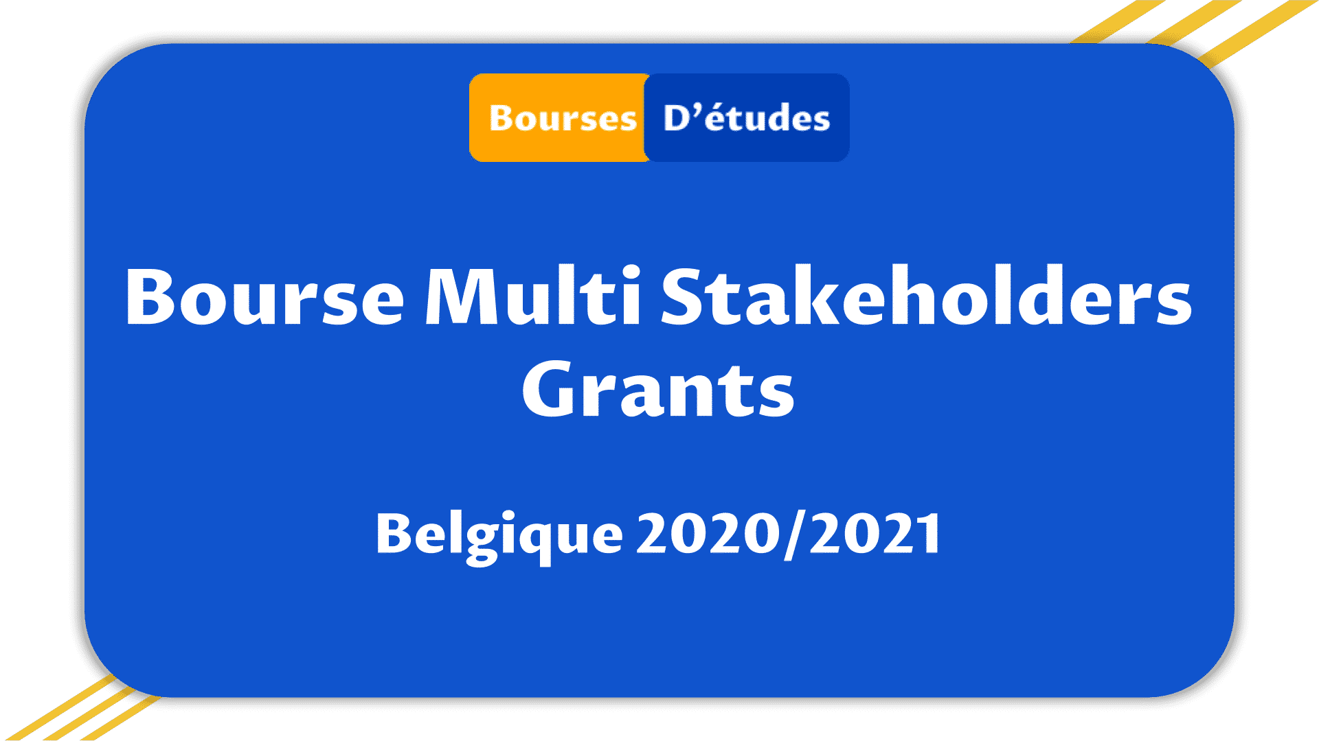 Bourse Multi Stakeholders Grants