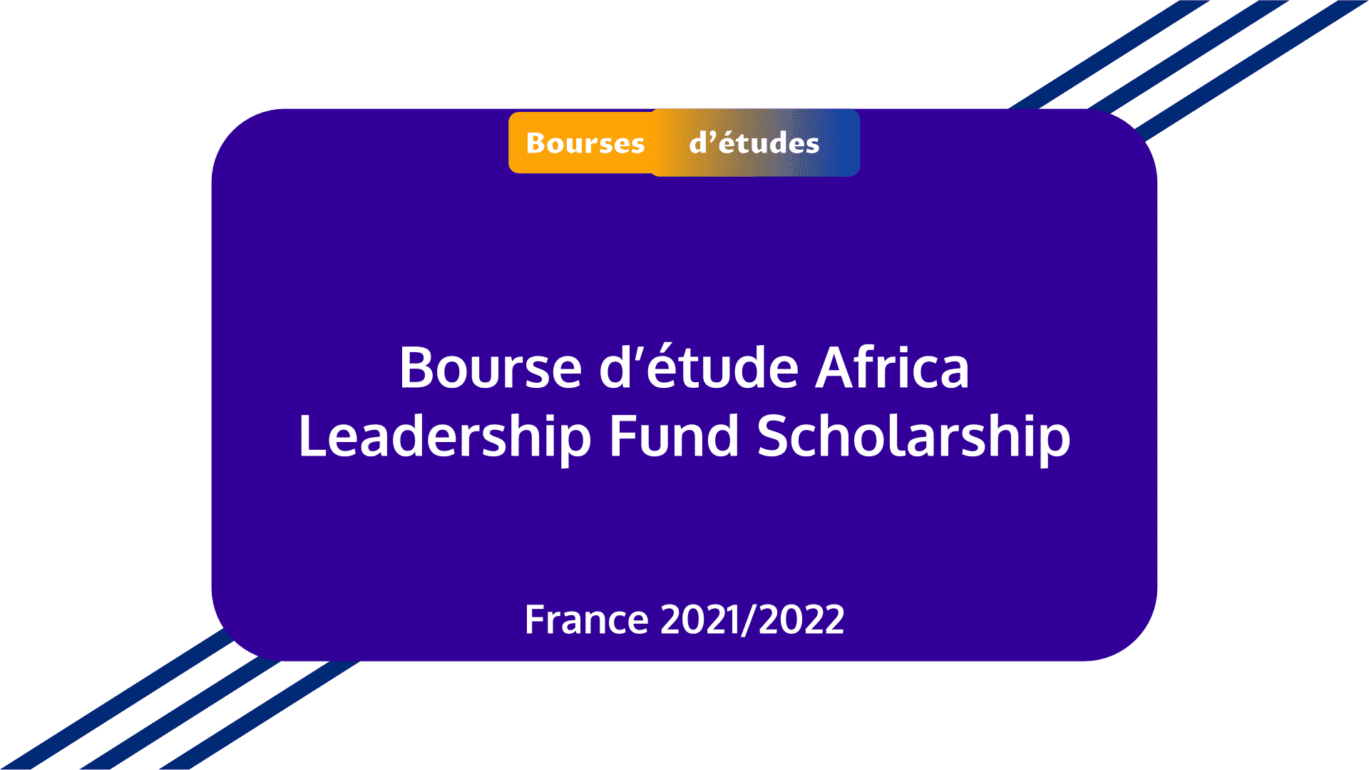 Bourse Africa Leadership Fund Scholarship France 2021