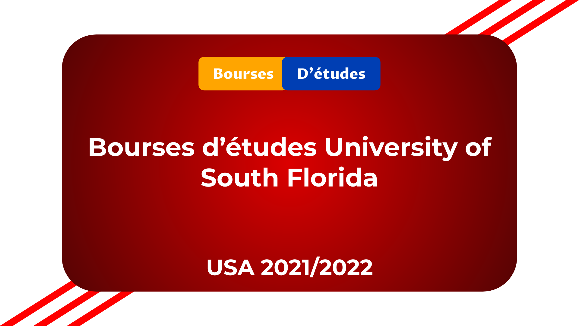 Bourses University of South Florida USA 2021