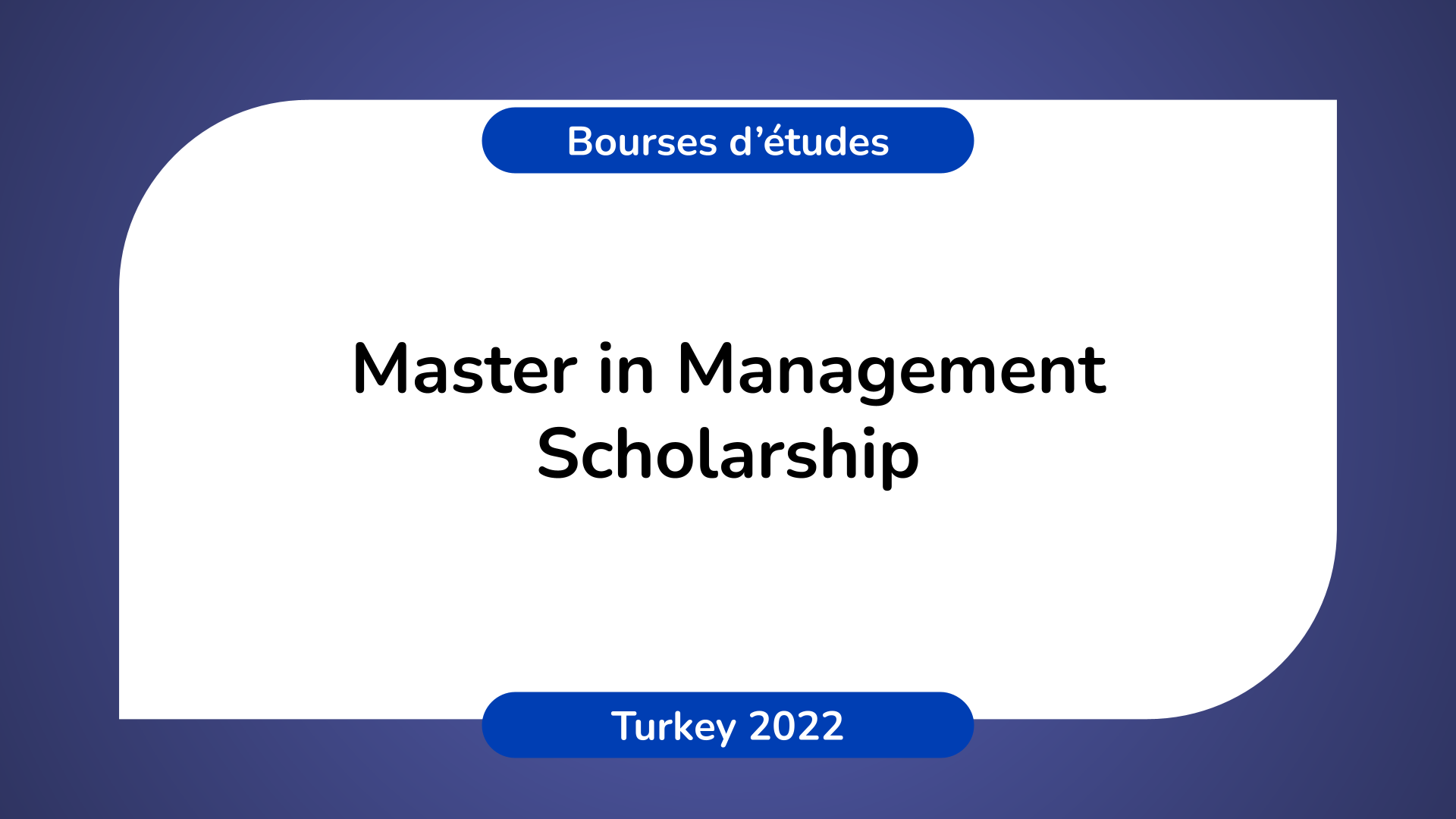 Master in Management Scholarship Turkey 2022