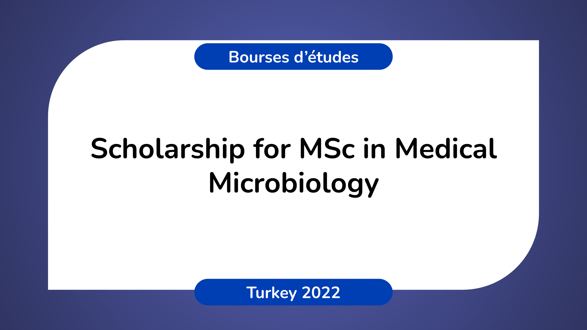 Scholarship MSc Medical Microbiology Turkey 2022