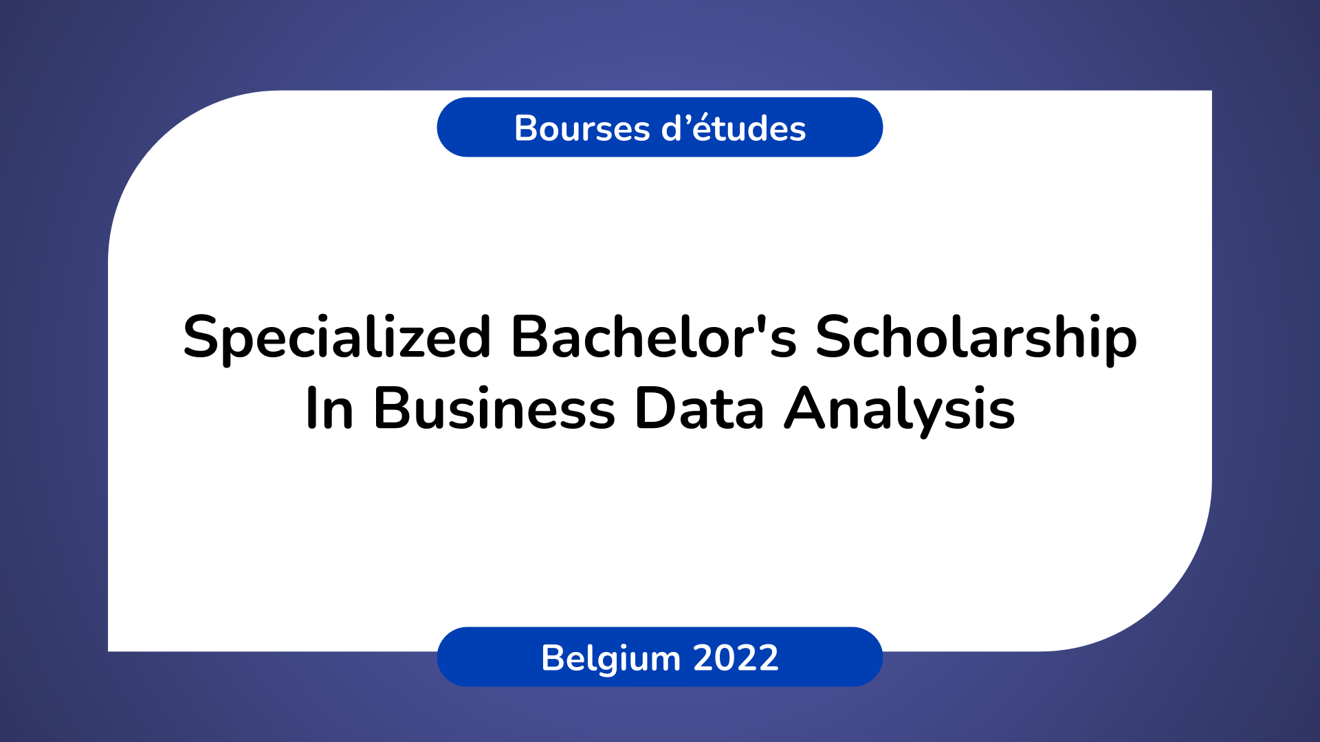 Specialized Bachelor's Scholarship In Business Data Analysis 2022