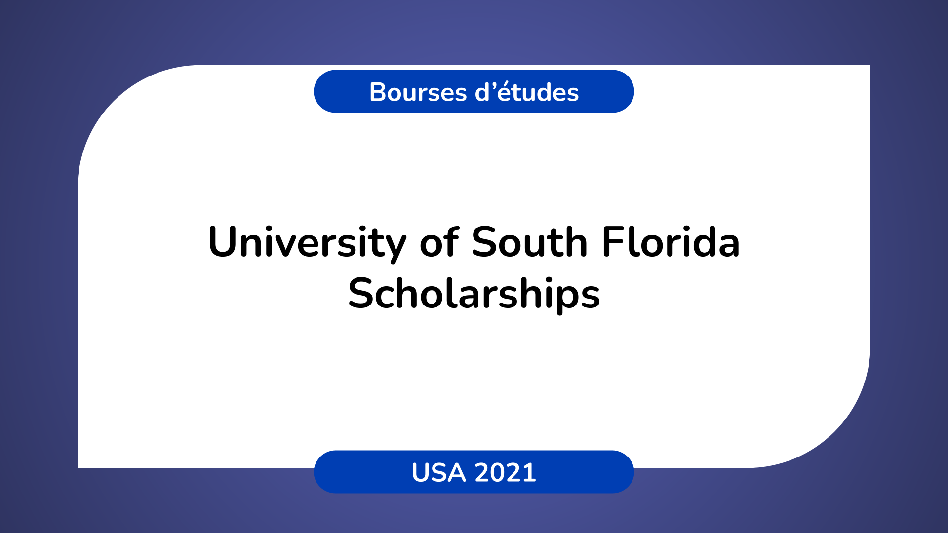 university of south florida transfer scholarships